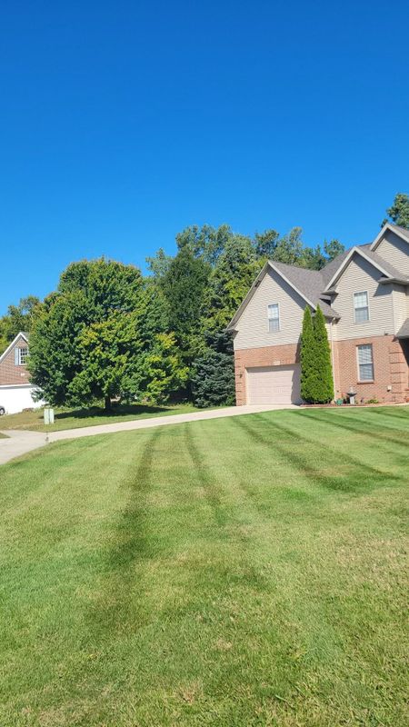 Lawn Mowing