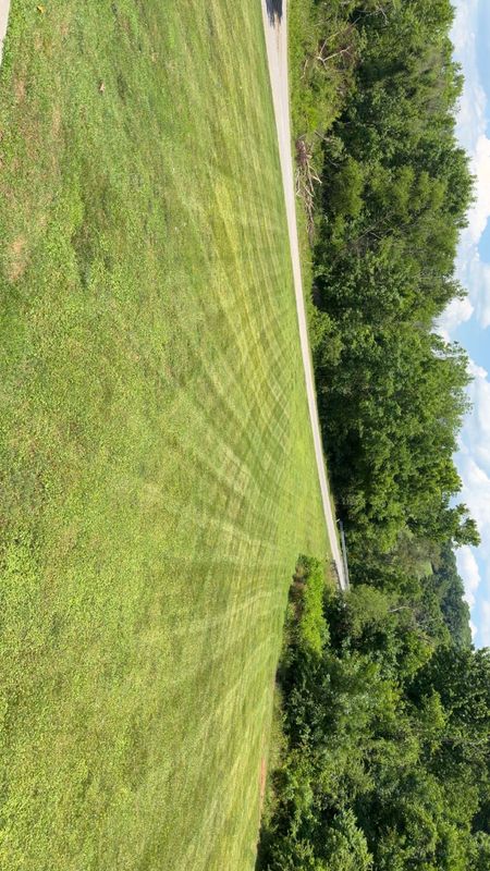 Lawn Maintenance