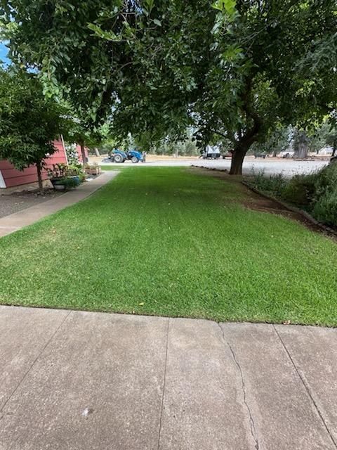 Lawn Maintenance
