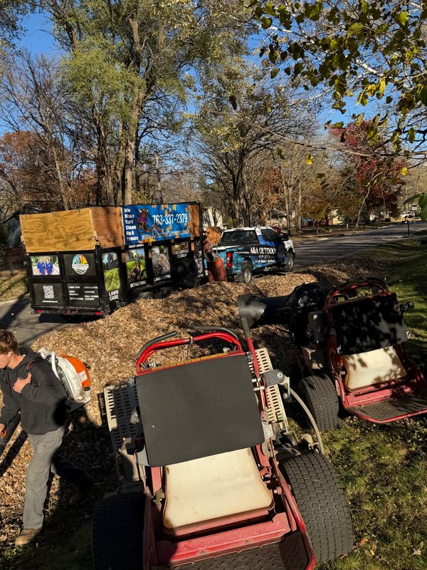 Fall Clean Up