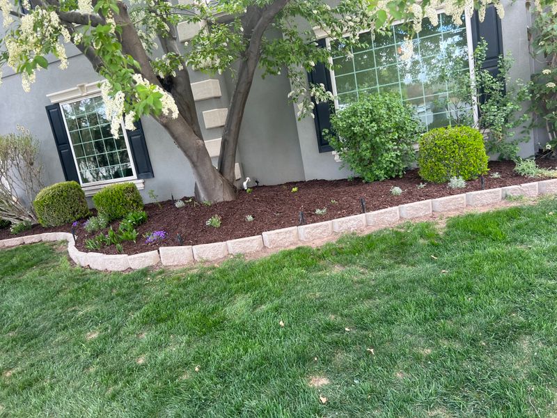 Mulch Installation