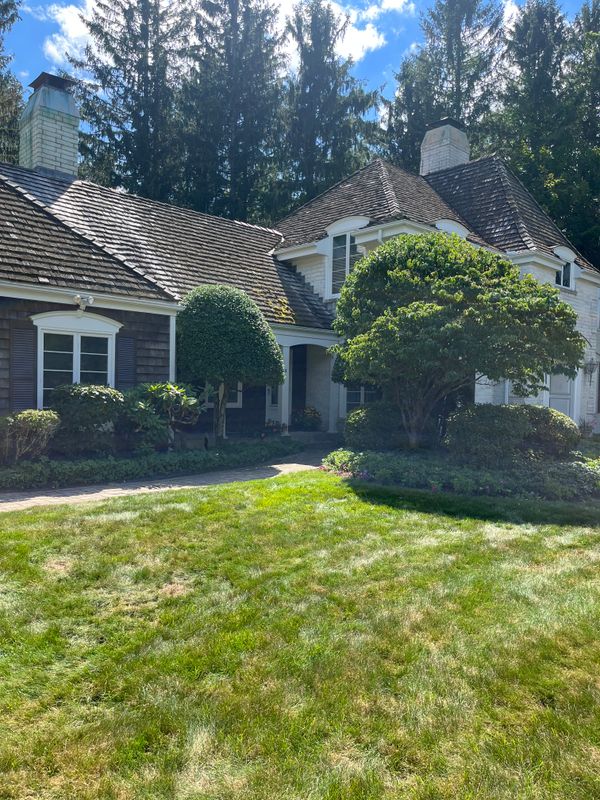 Tree & Shrub Care