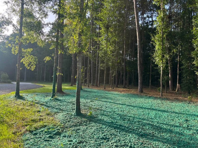 Erosion Control Solutions