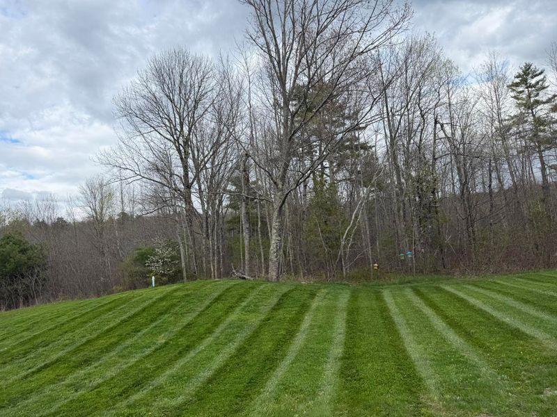 Lawn Mowing and Maintenance