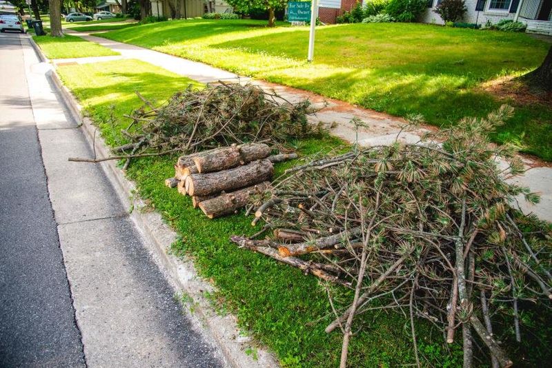 Brush Clearing