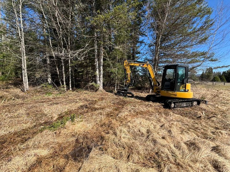 Forestry Mulching