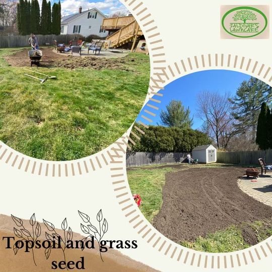 Lawn Aeration