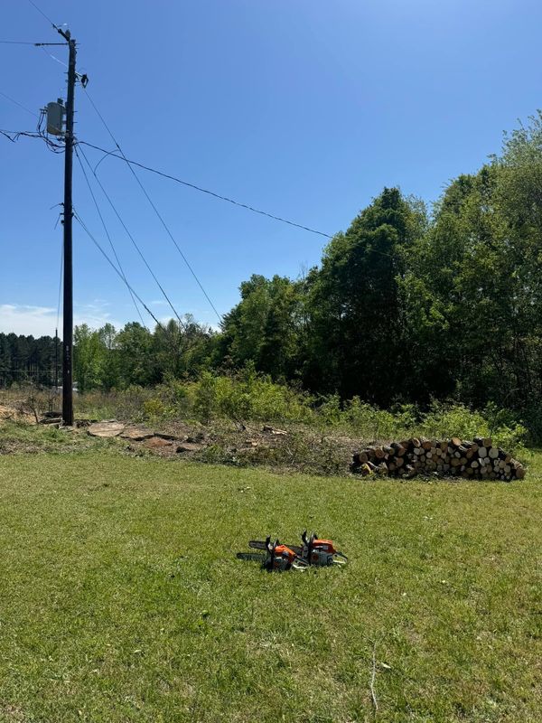 Stump Removal