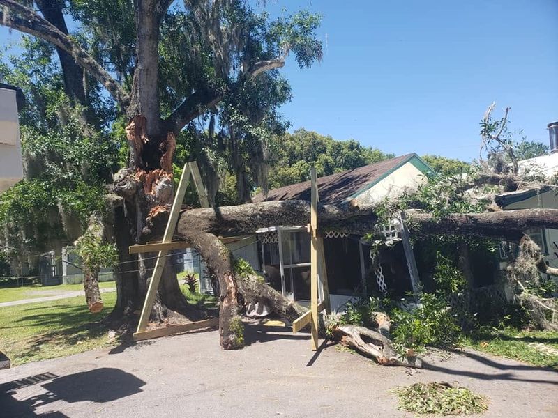 Emergency Tree Services