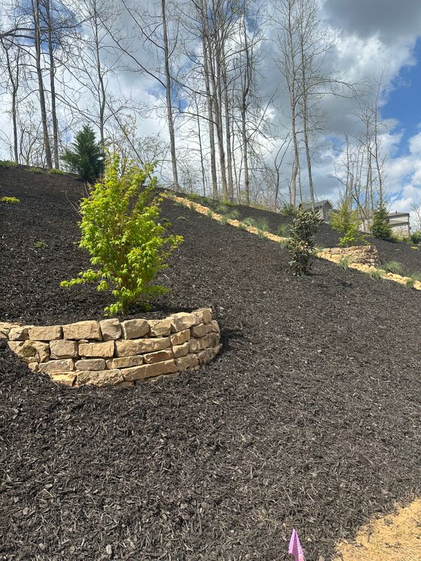 Landscape Design and Installation