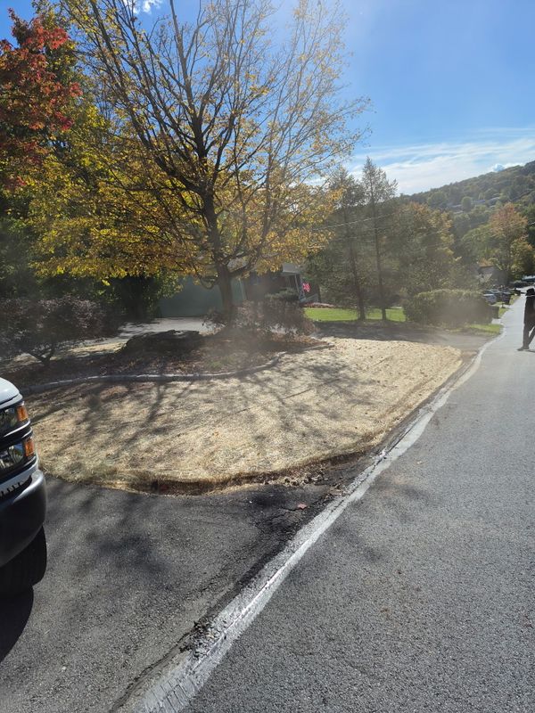 Tree & Shrub Care