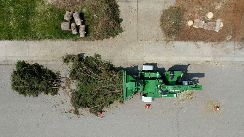 Tree & Shrub Care