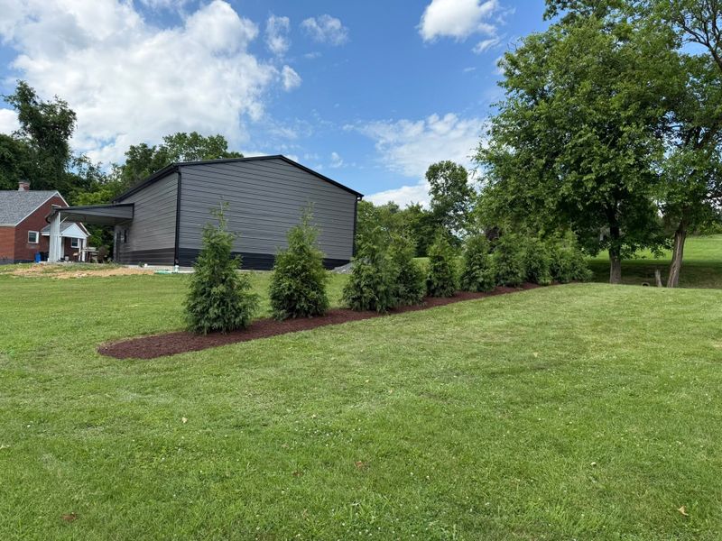Tree & Shrub Care