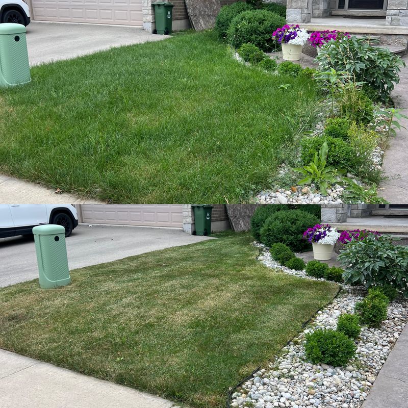 Lawn Care
