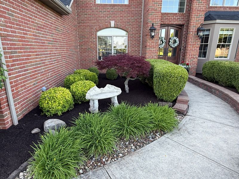 Shrub Trimming
