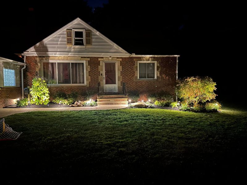 Tree & Shrub Care