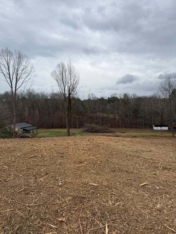 Land Clearing