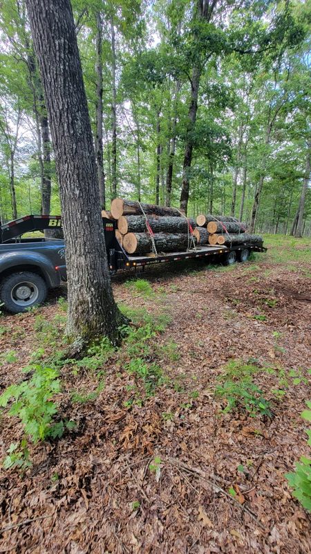 Forestry Mulching