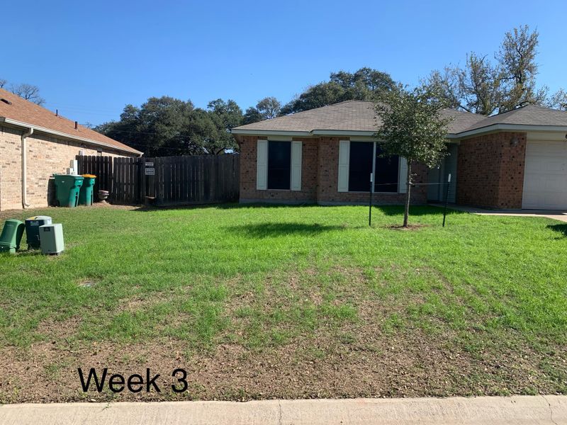 Lawn Care