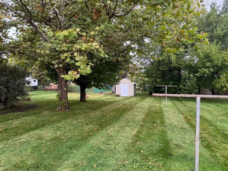 Seasonal Yard Cleanup