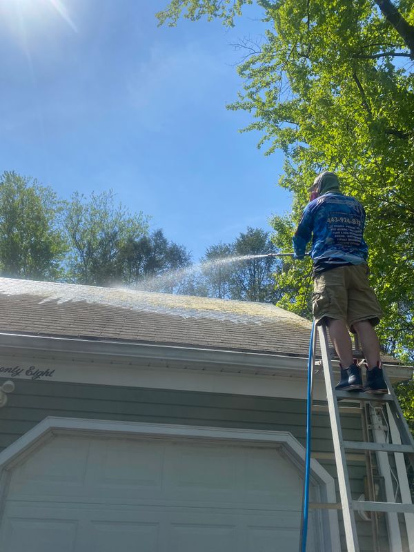 Roof Cleaning