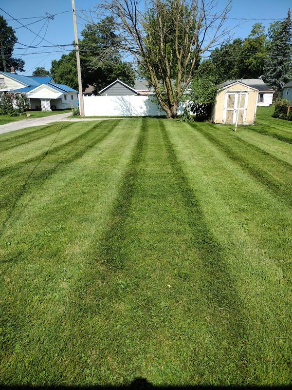 Lawn Care and Maintenance