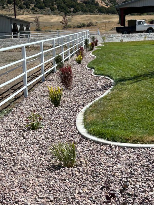 Landscape Design & Installation