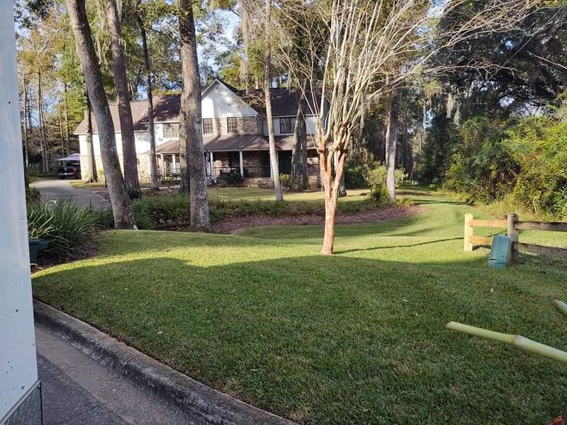 Lawn maintenance