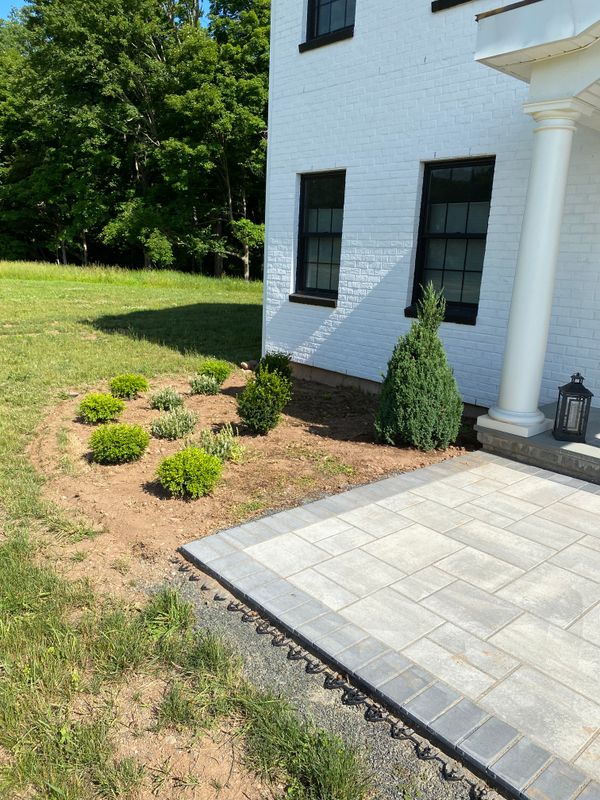 Plant & Shrub Installations
