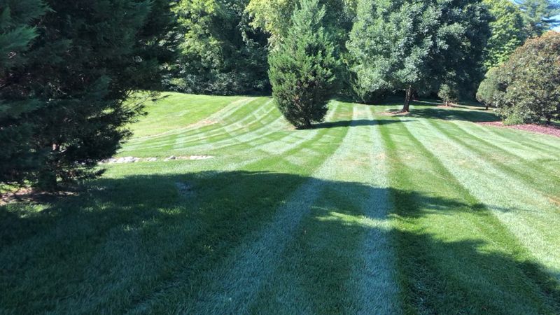 Lawn Care