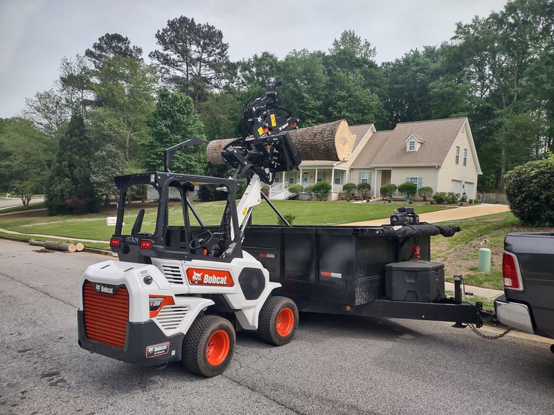 Tree Removal gallery