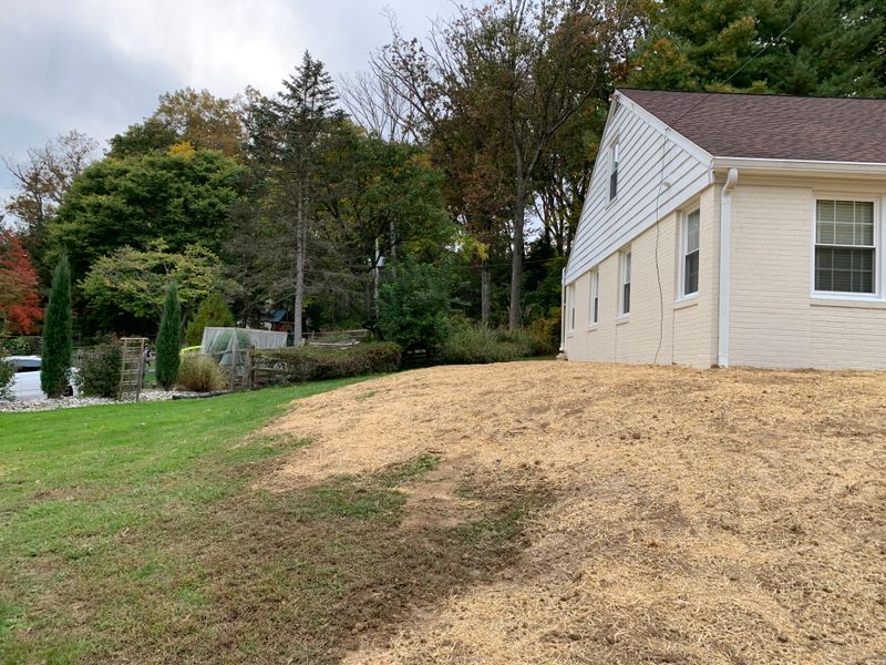 Site Grading