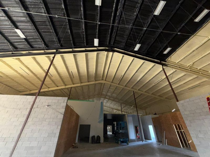 Insulation Removal
