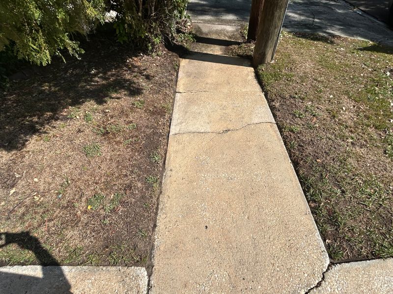 Driveway and Sidewalk Cleaning