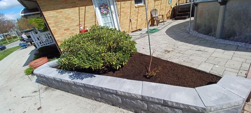 Shrub & Plant Installation Photos