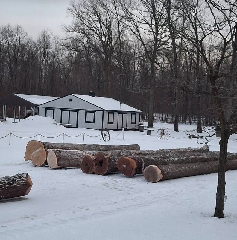 Timber Management
