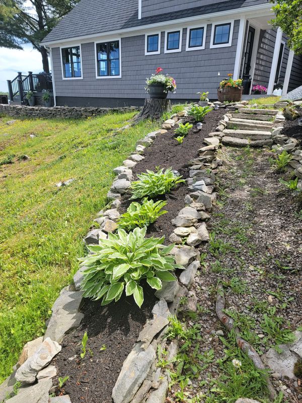 Landscape Design
