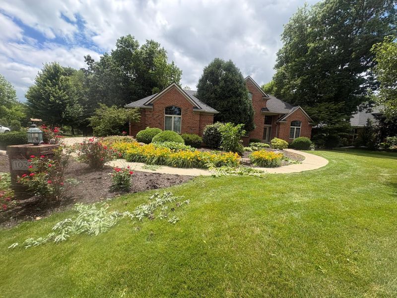 Landscape Design & Installation