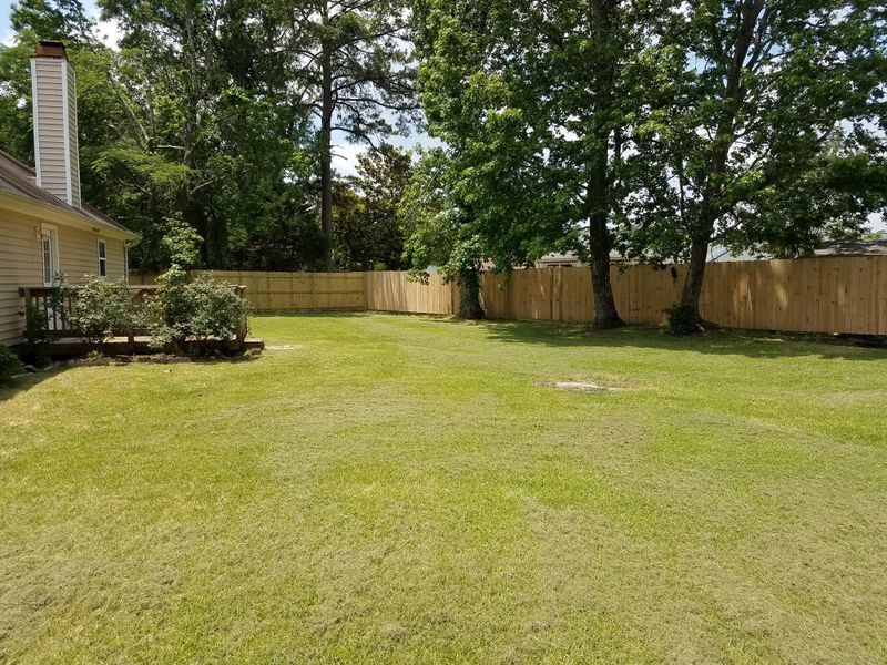 Lawn Care