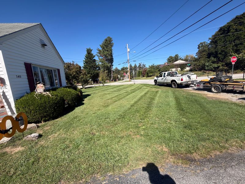 Lawn Maintenance