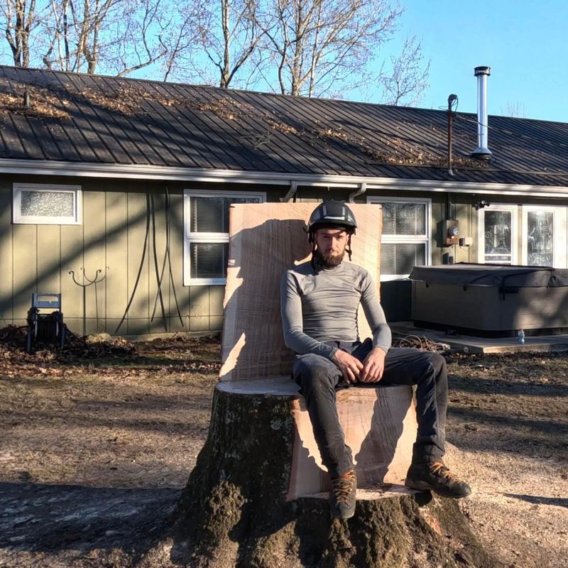 Tree Trimming