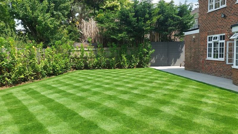 Lawn Maintenance