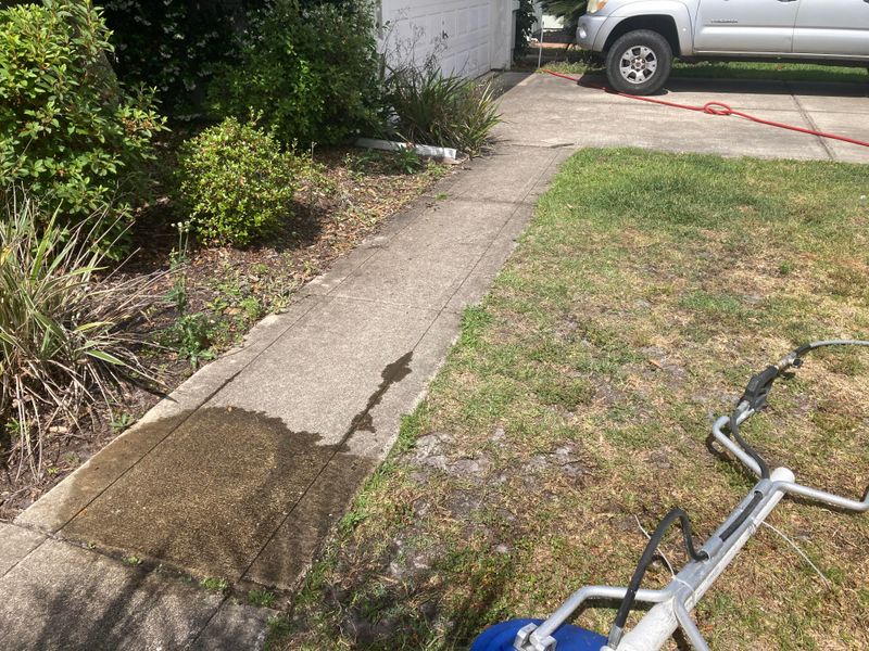 Exterior Cleaning