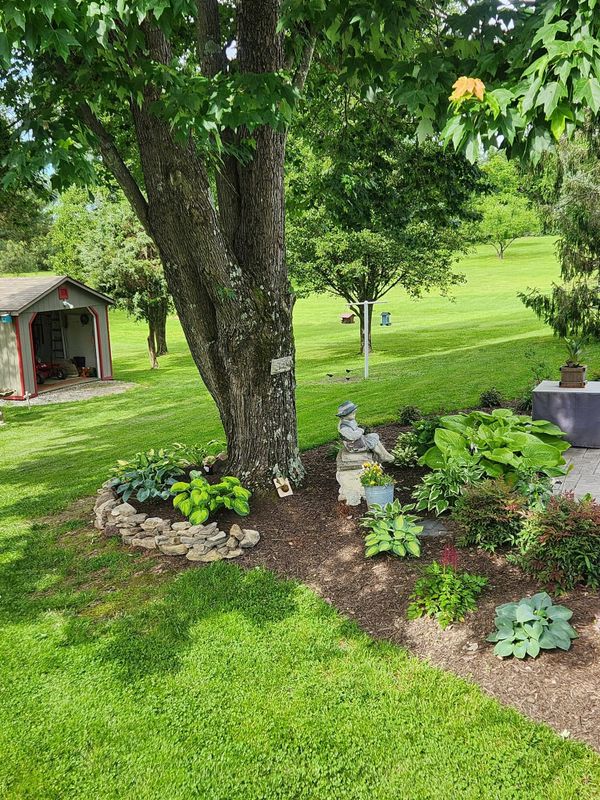 Garden Designs