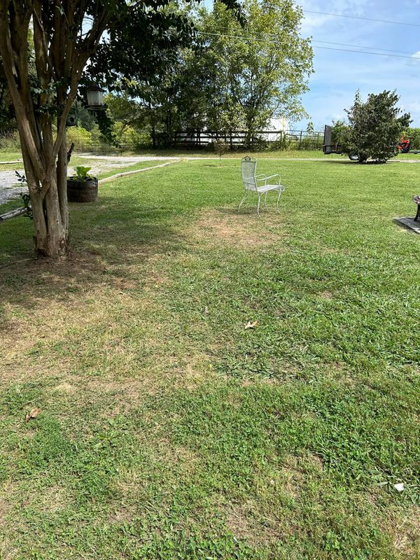 Landscaping