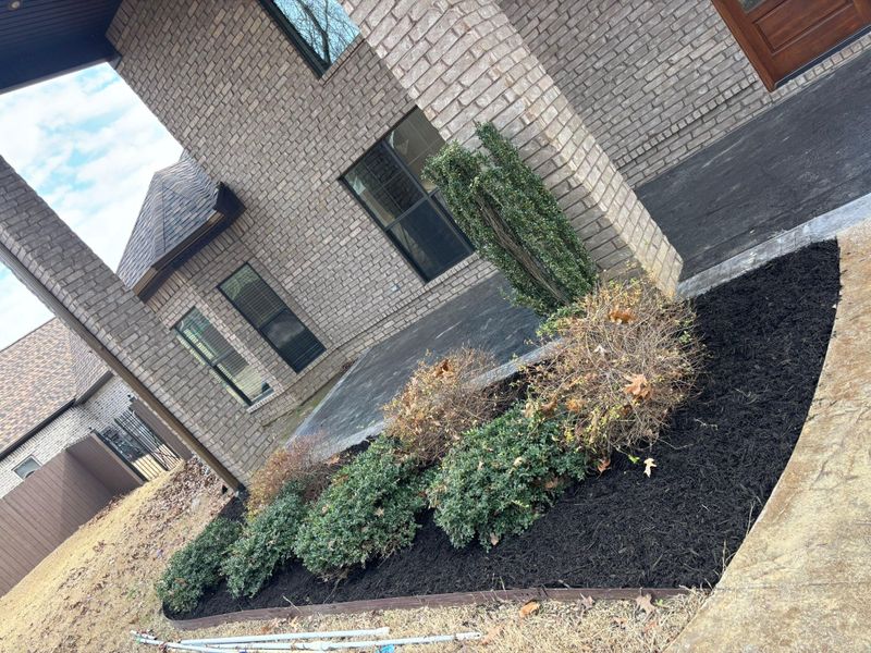 Landscape And Design