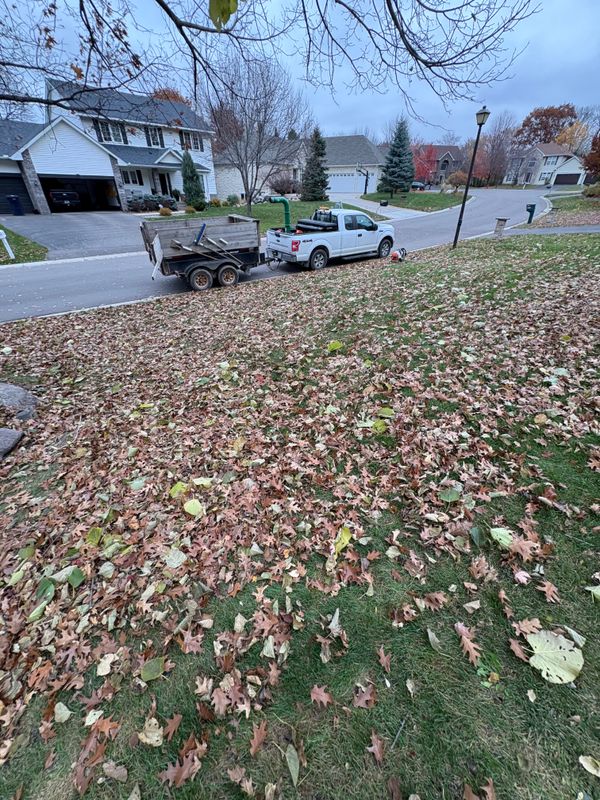 Seasonal Clean-Up Services