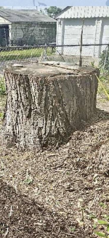 Tree Services