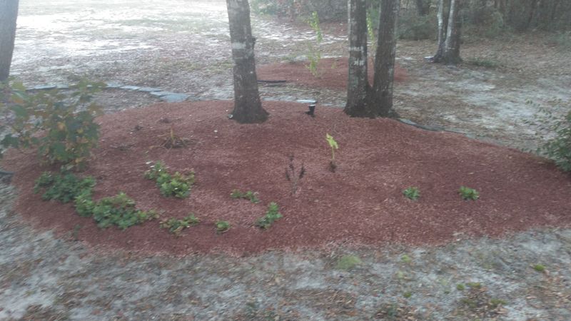 Some of our work