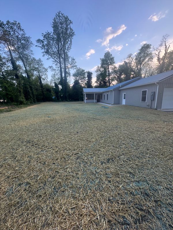 Hydro-seeding and sod installation